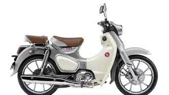 Honda Super Cub C125 (2022 - 24) nuova