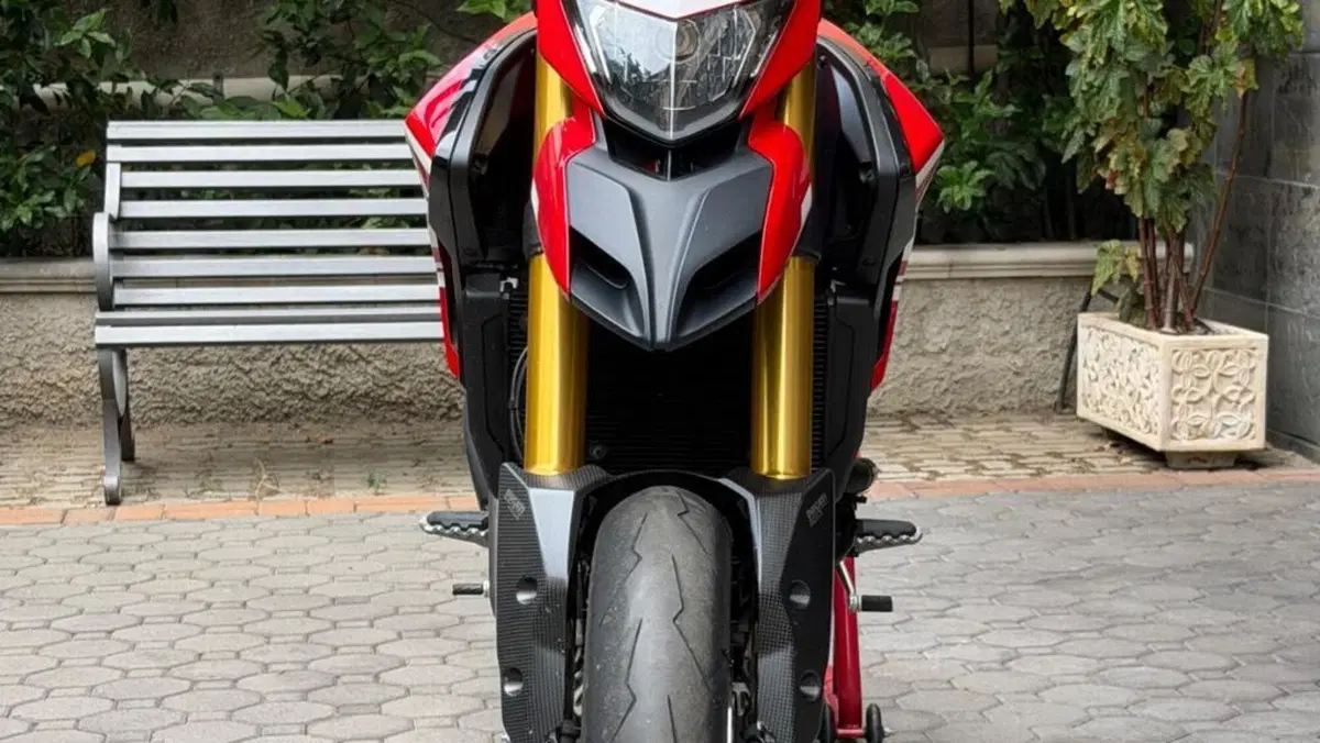 Ducati Hypermotard 939 SP (2016 - 18)  (3)