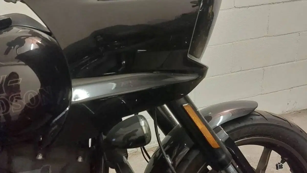 Harley-Davidson Low Rider ST (2022 - 24)  (2)