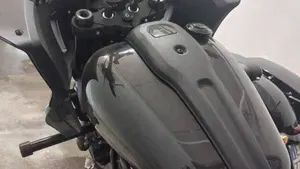 Harley-Davidson Low Rider ST (2022 - 24)  (6)