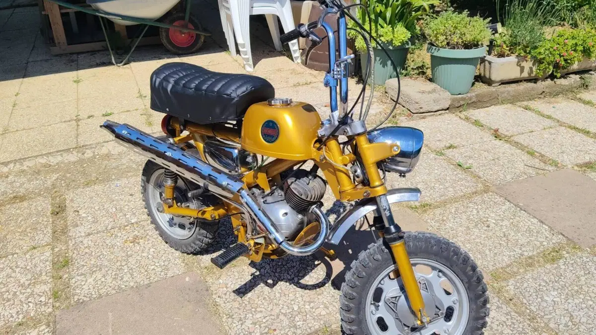 Benelli   (4)