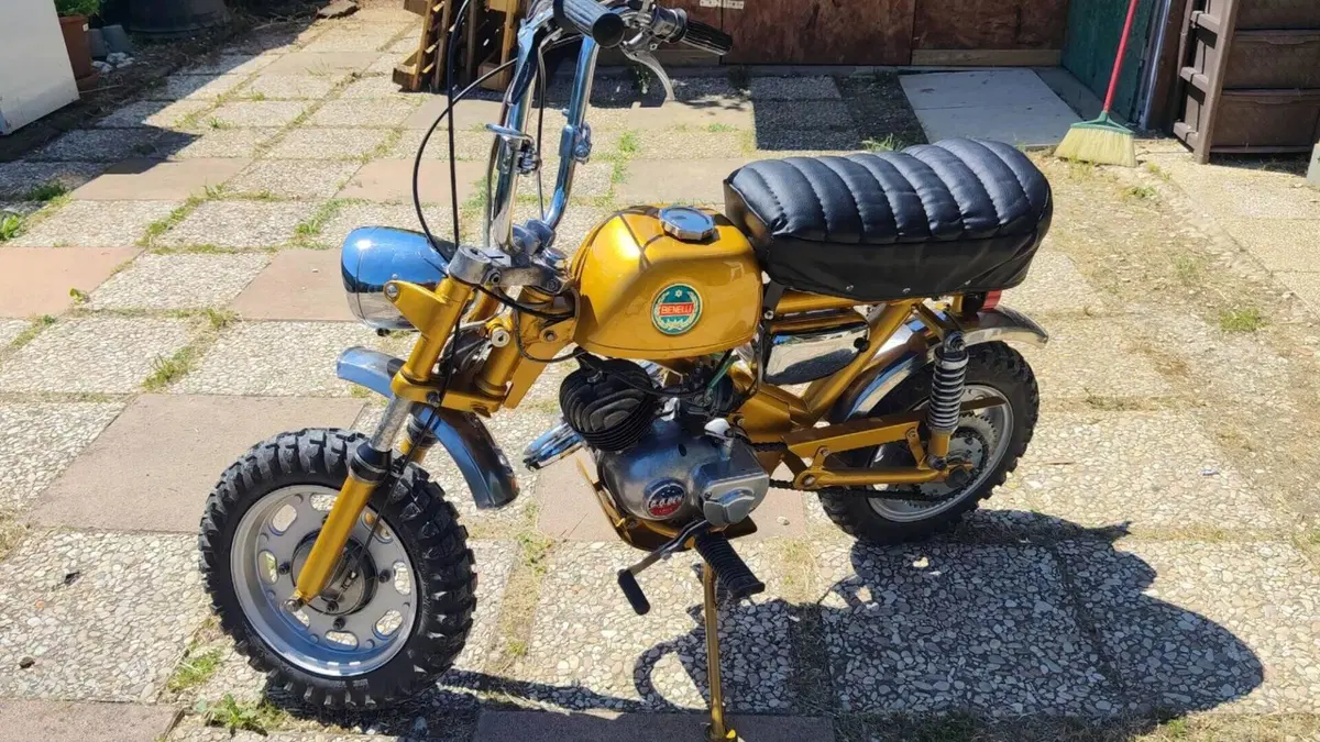 Benelli   (6)