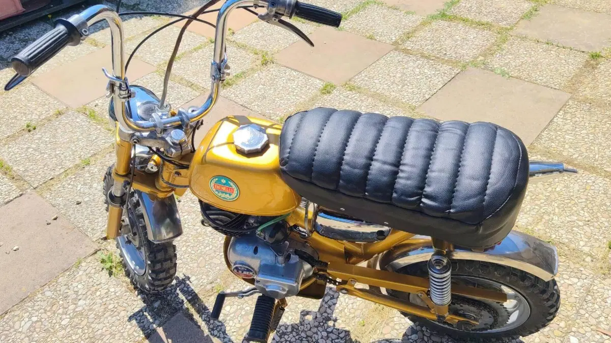 Benelli   (7)
