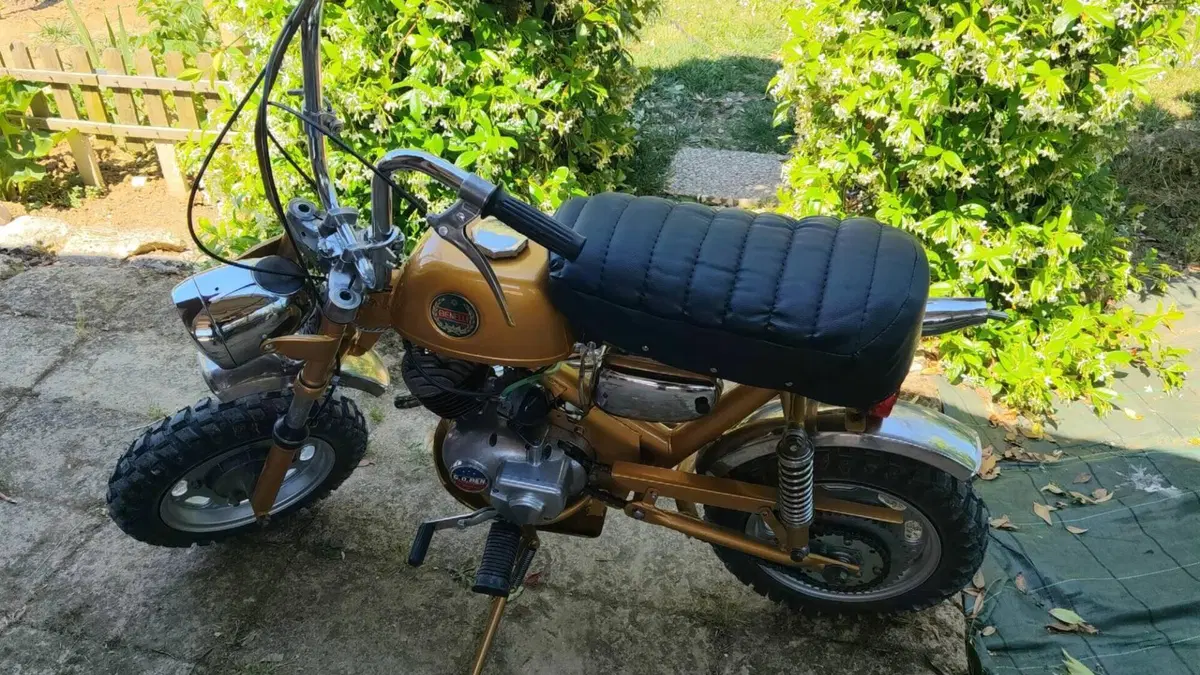 Benelli   (8)