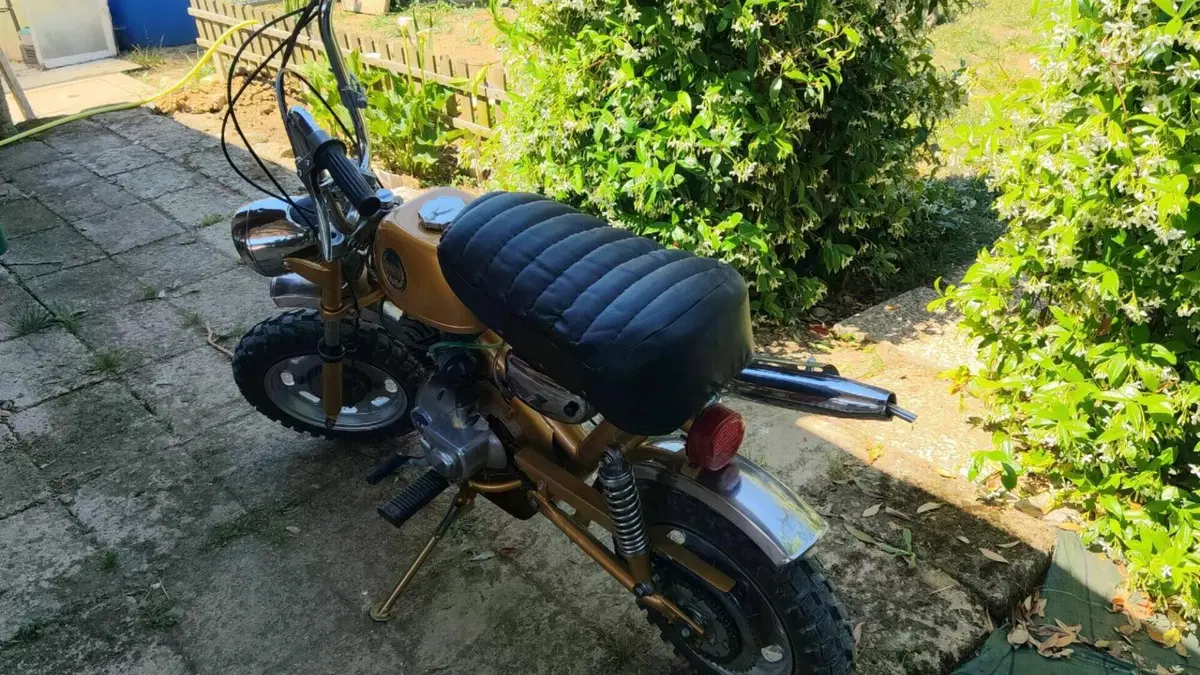 Benelli   (9)