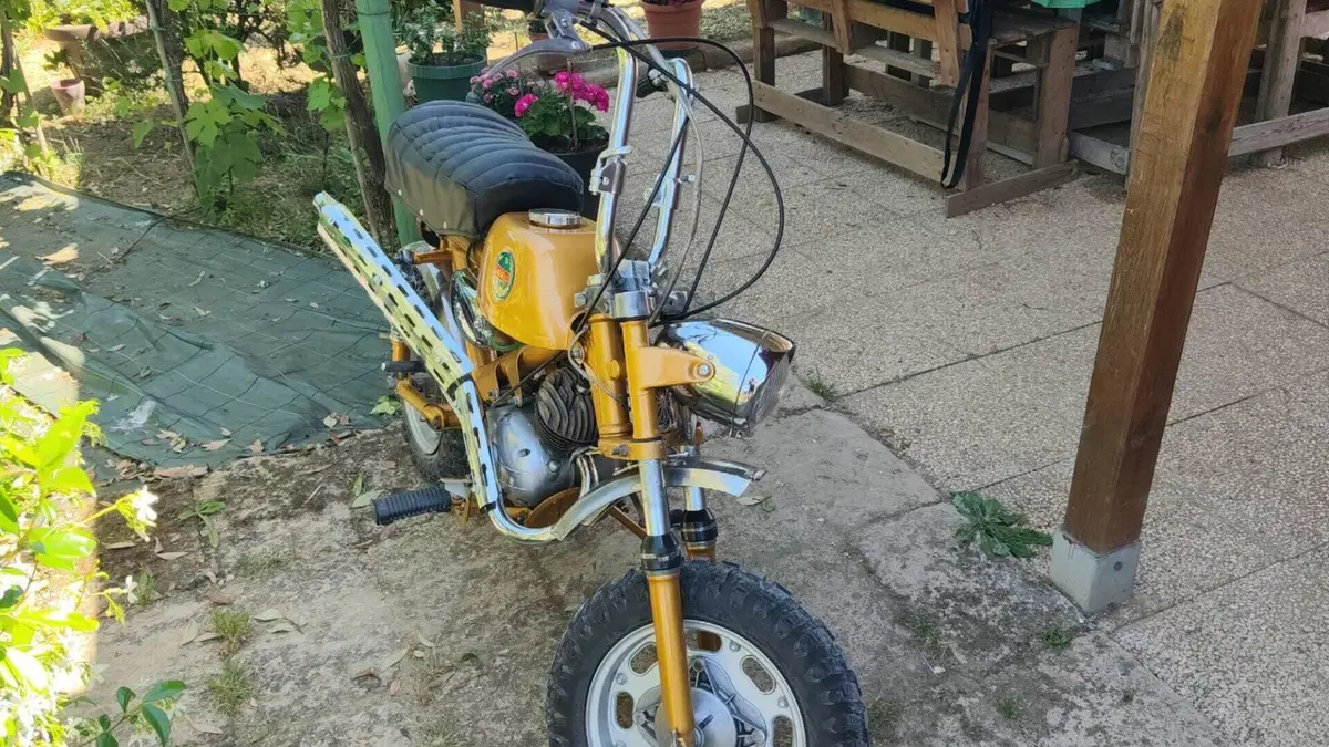Benelli   (10)