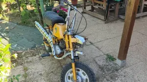 Benelli   (10)