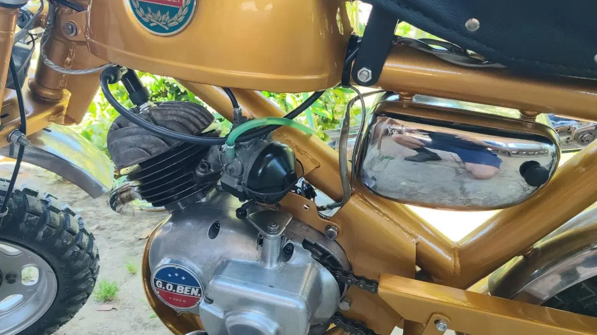 Benelli   (11)