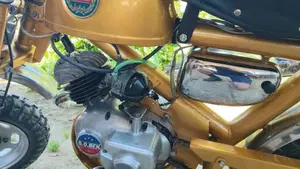 Benelli   (11)