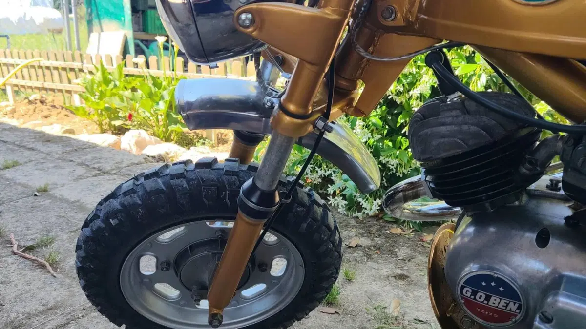 Benelli   (12)
