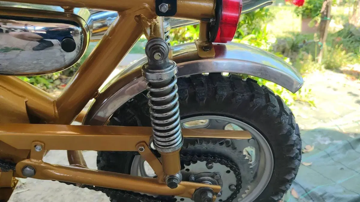 Benelli   (13)