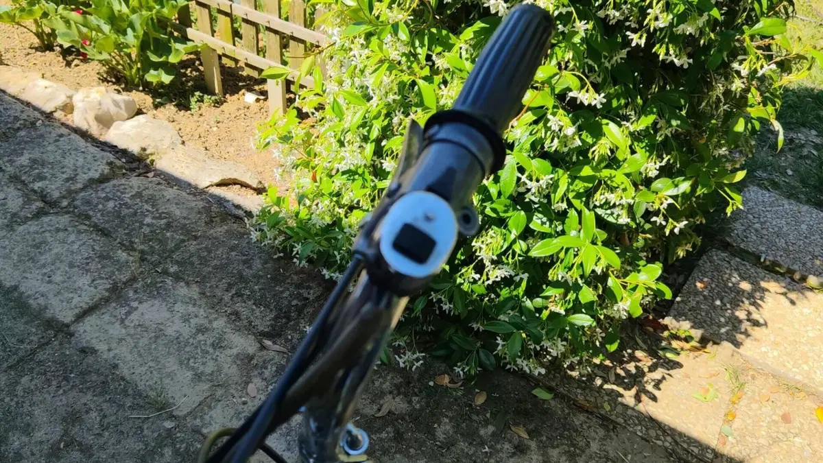 Benelli   (14)