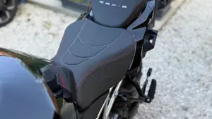 Suzuki GSX-S1000GX Touring (2024 - 26)  (3)
