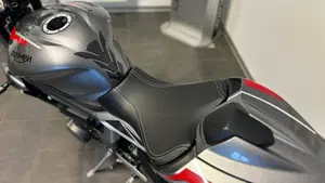Triumph Street Triple RS (2020 - 22)  (7)