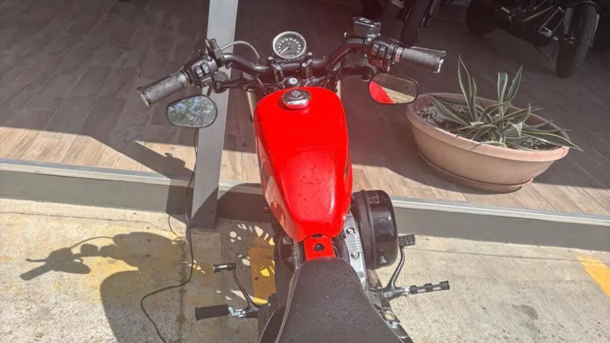 Harley-Davidson 1200 Forty-Eight (2016 - 20)  (2)