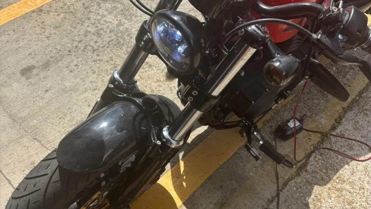 Harley-Davidson 1200 Forty-Eight (2016 - 20)  (5)