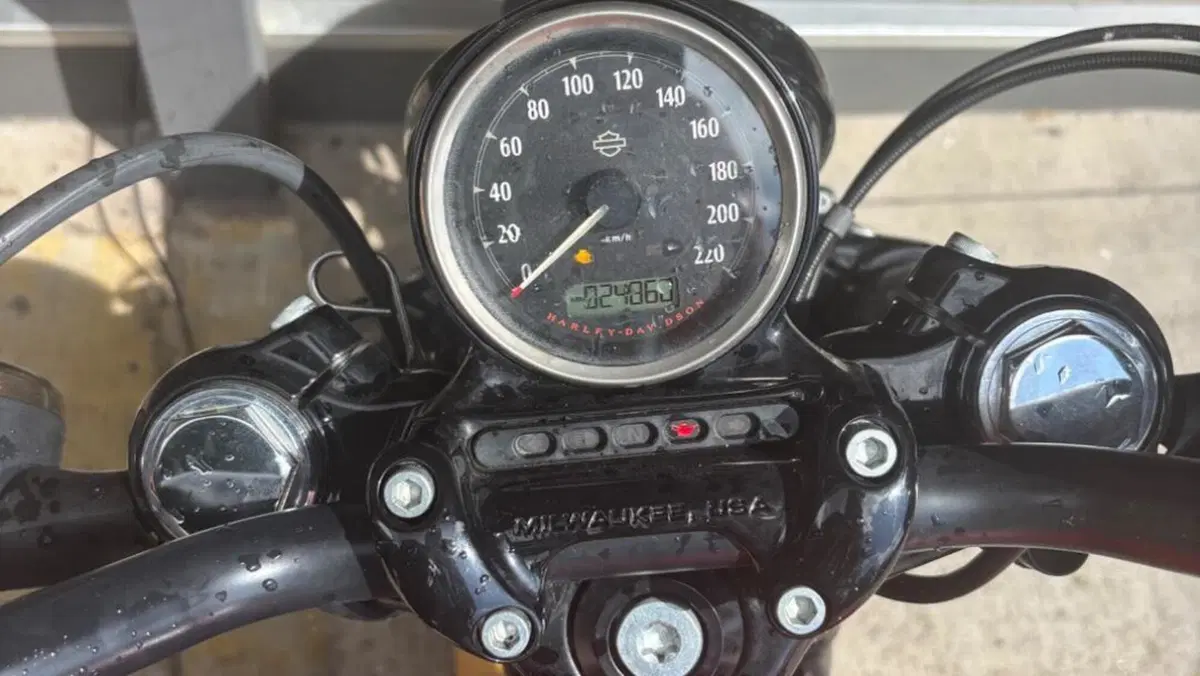 Harley-Davidson 1200 Forty-Eight (2016 - 20)  (6)