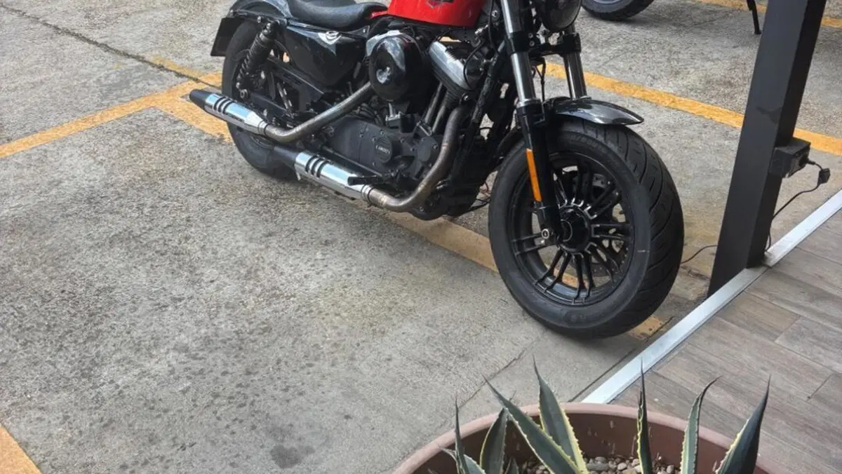 Harley-Davidson 1200 Forty-Eight (2016 - 20)  (7)