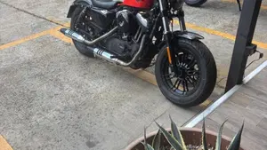 Harley-Davidson 1200 Forty-Eight (2016 - 20)  (7)