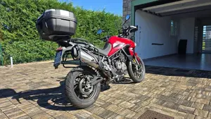 Triumph Tiger 900 GT Pro (2020 - 23)  (3)