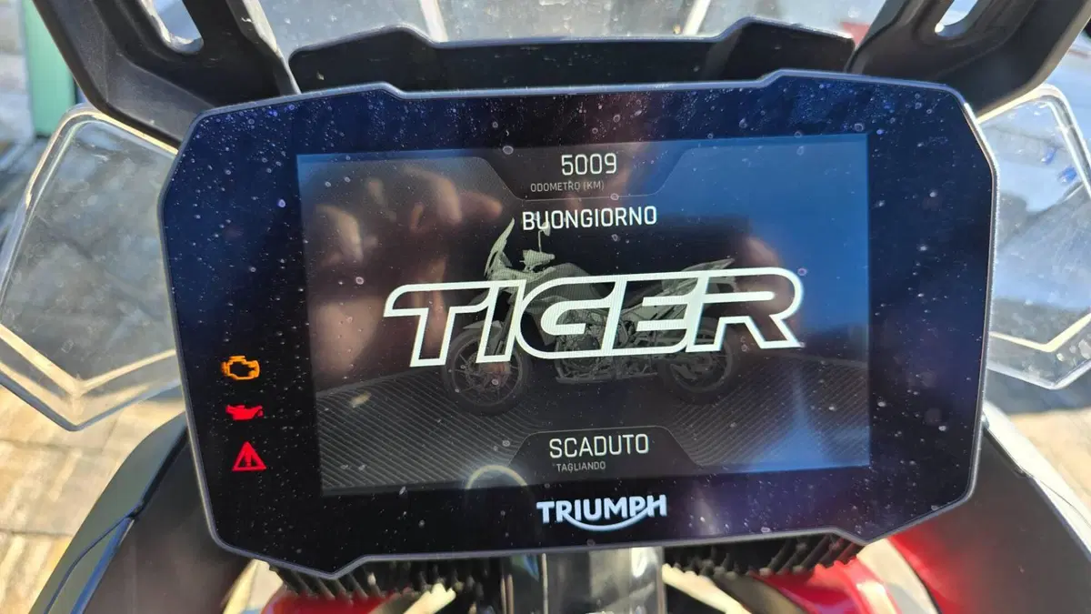 Triumph Tiger 900 GT Pro (2020 - 23)  (4)