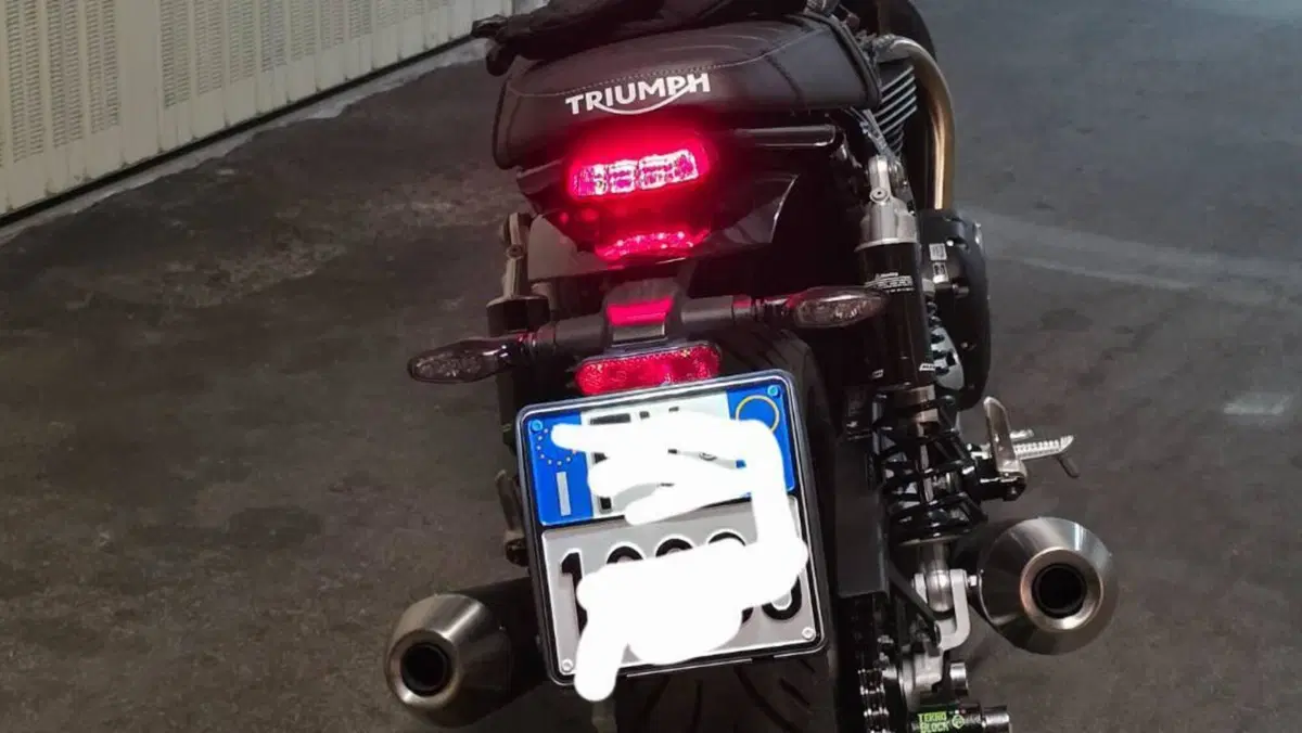Triumph Speed Twin 900 (2025 - 26)  (2)