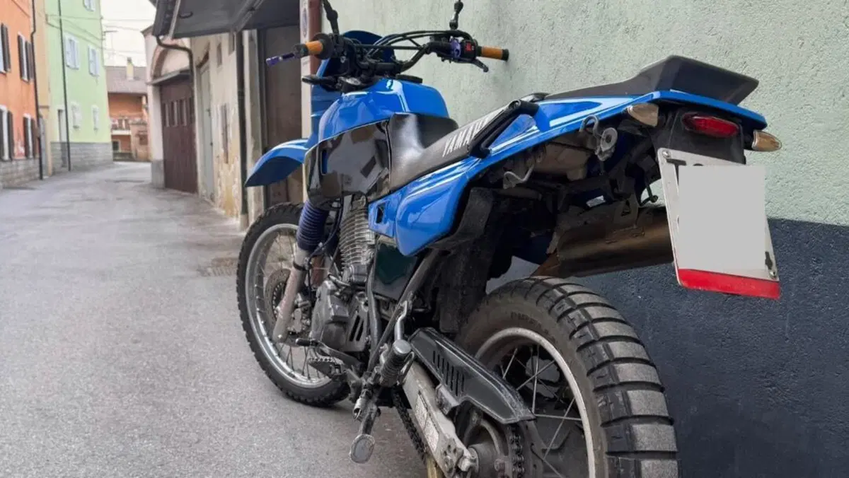 Yamaha   (6)