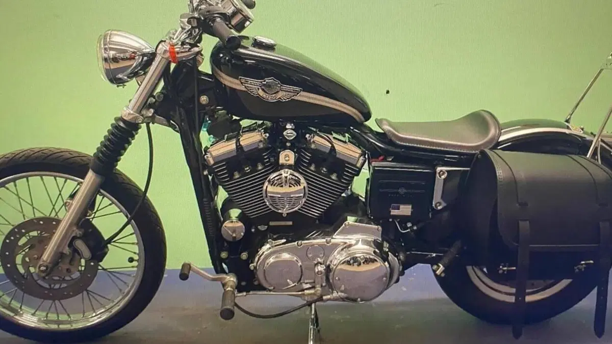 Harley-Davidson 1200 Custom (2001 - 03) - XL 1200C  (2)