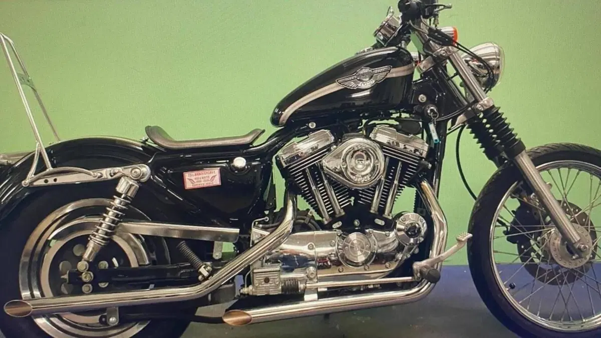 Harley-Davidson 1200 Custom (2001 - 03) - XL 1200C  (4)