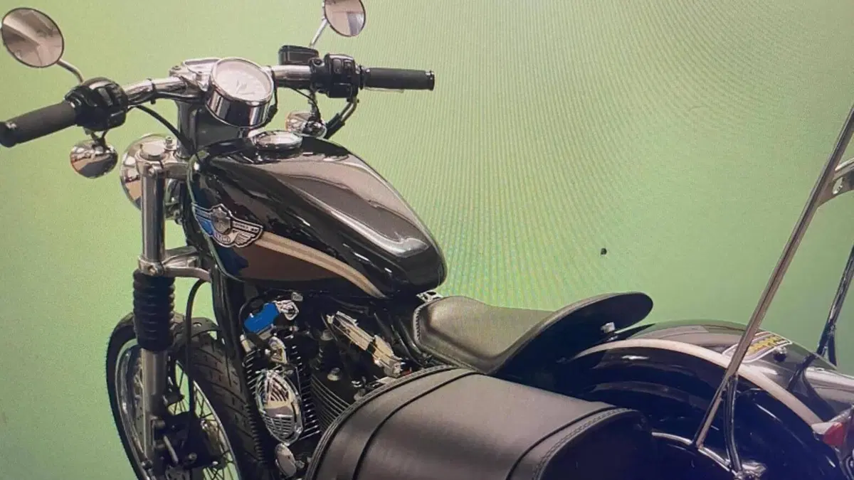 Harley-Davidson 1200 Custom (2001 - 03) - XL 1200C  (5)