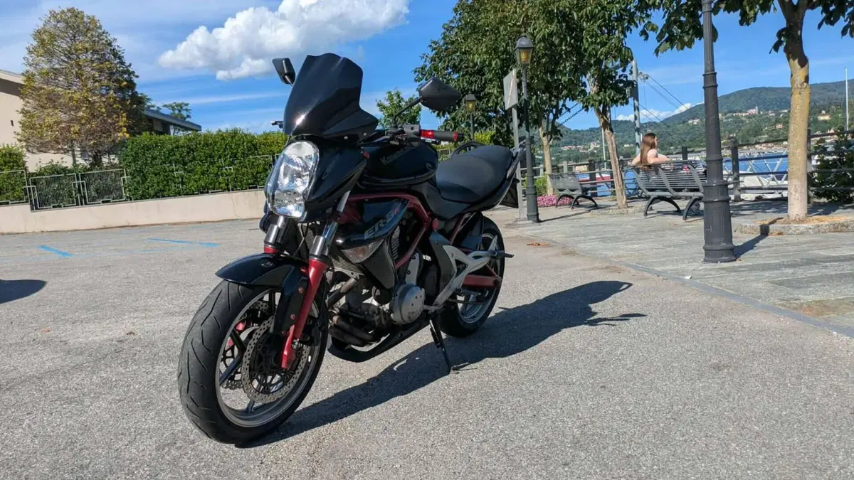 Kawasaki ER-6N (2005 - 08)  (2)