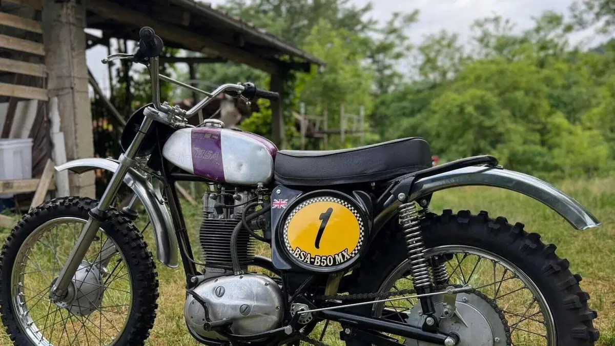 Bsa   (3)