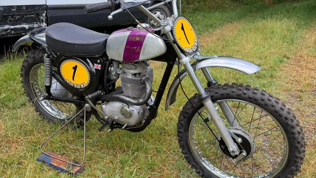Bsa   (2)