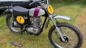 Bsa   (2)