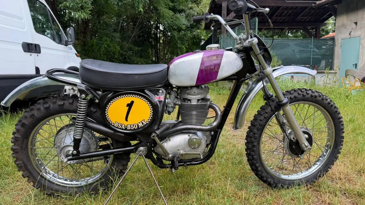 Bsa   (4)