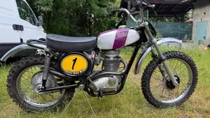 Bsa   (4)