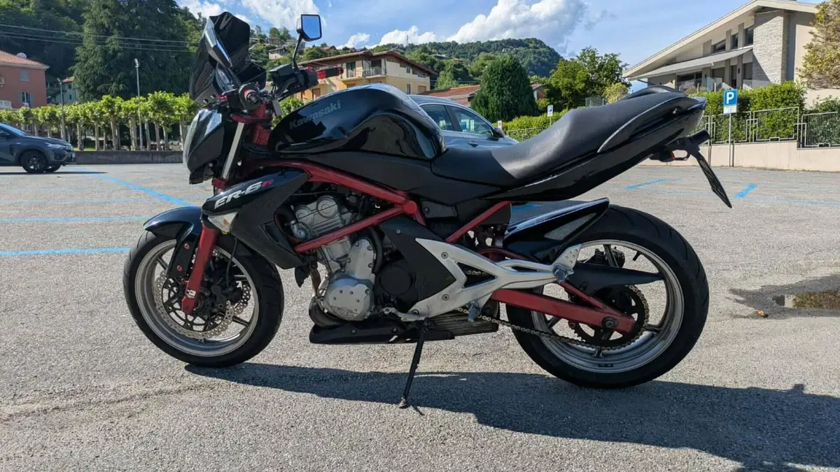 Kawasaki ER-6N (2005 - 08)  (6)