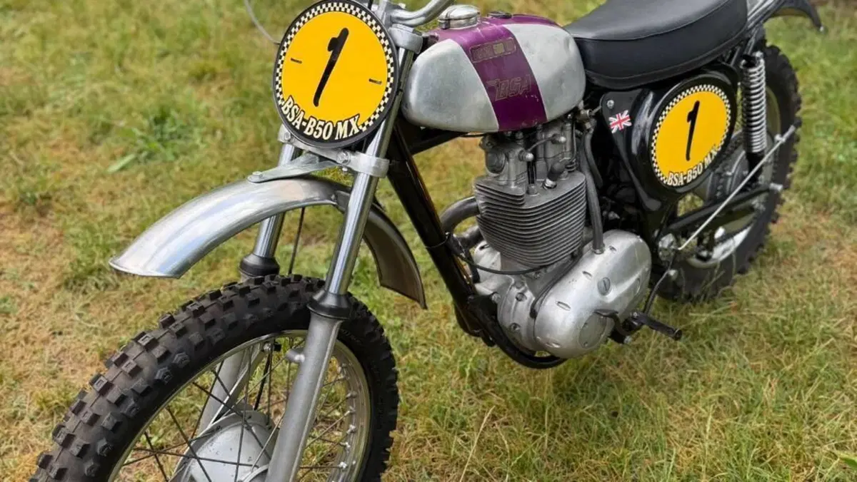 Bsa   (5)