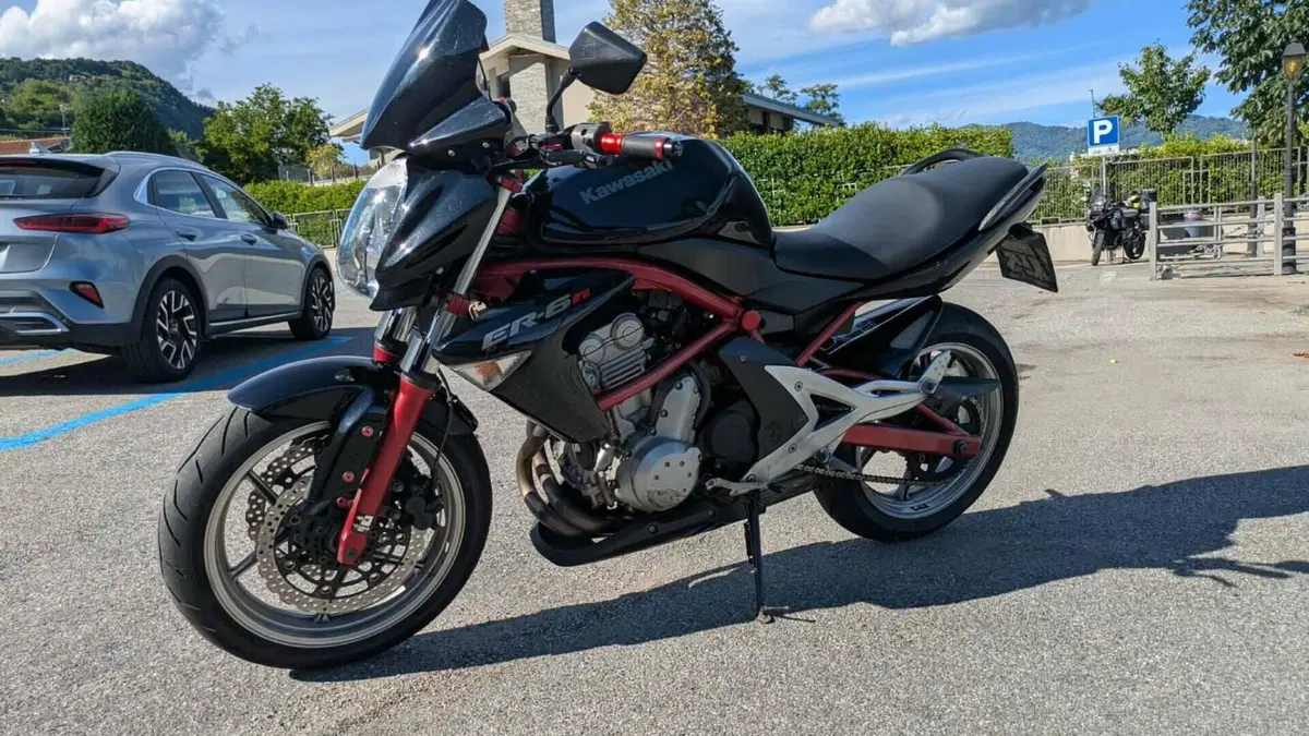 Kawasaki ER-6N (2005 - 08)  (11)