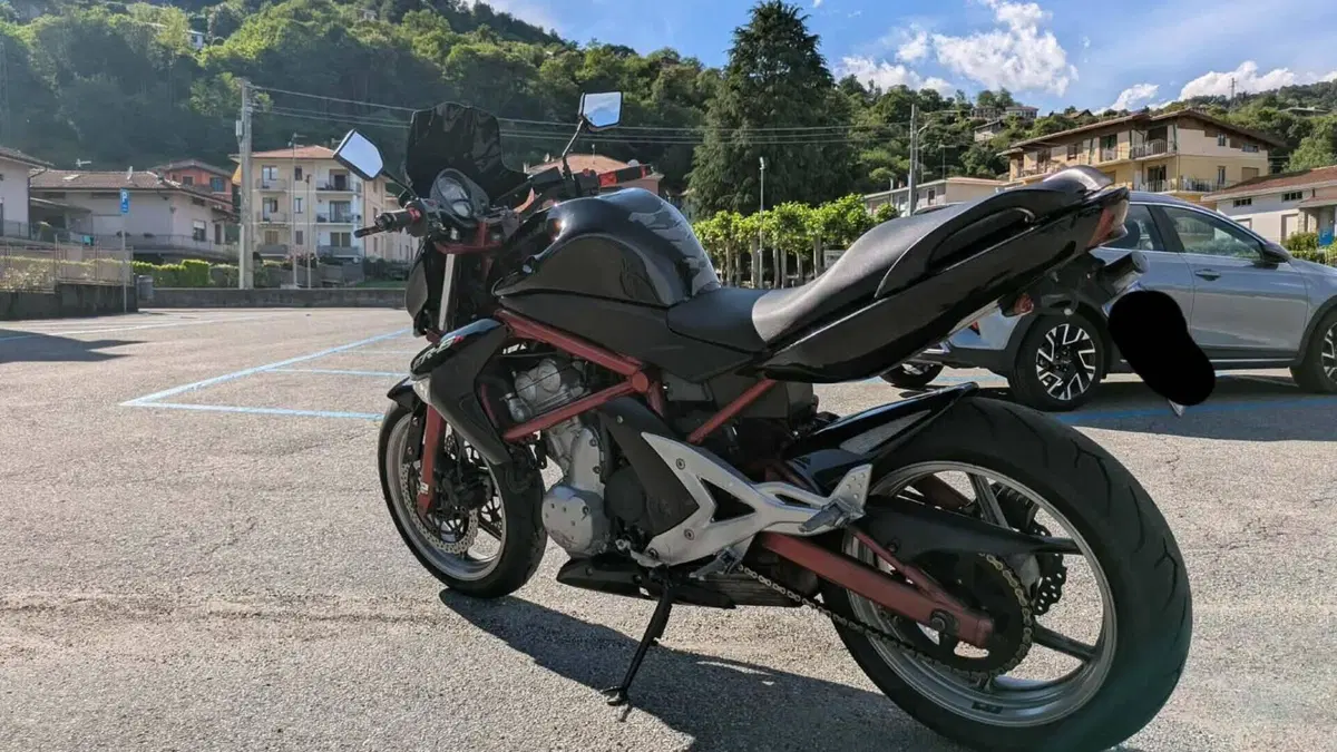 Kawasaki ER-6N (2005 - 08)  (7)