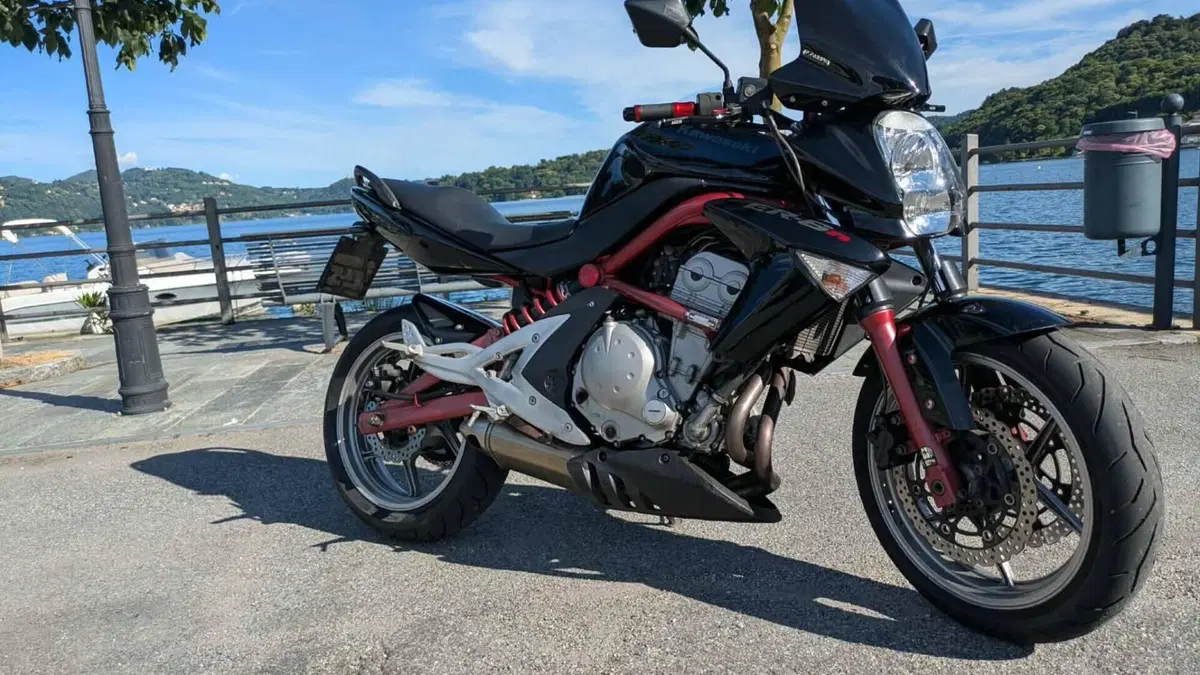 Kawasaki ER-6N (2005 - 08)  (17)
