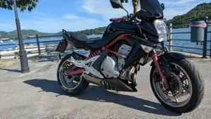 Kawasaki ER-6N (2005 - 08)  (17)