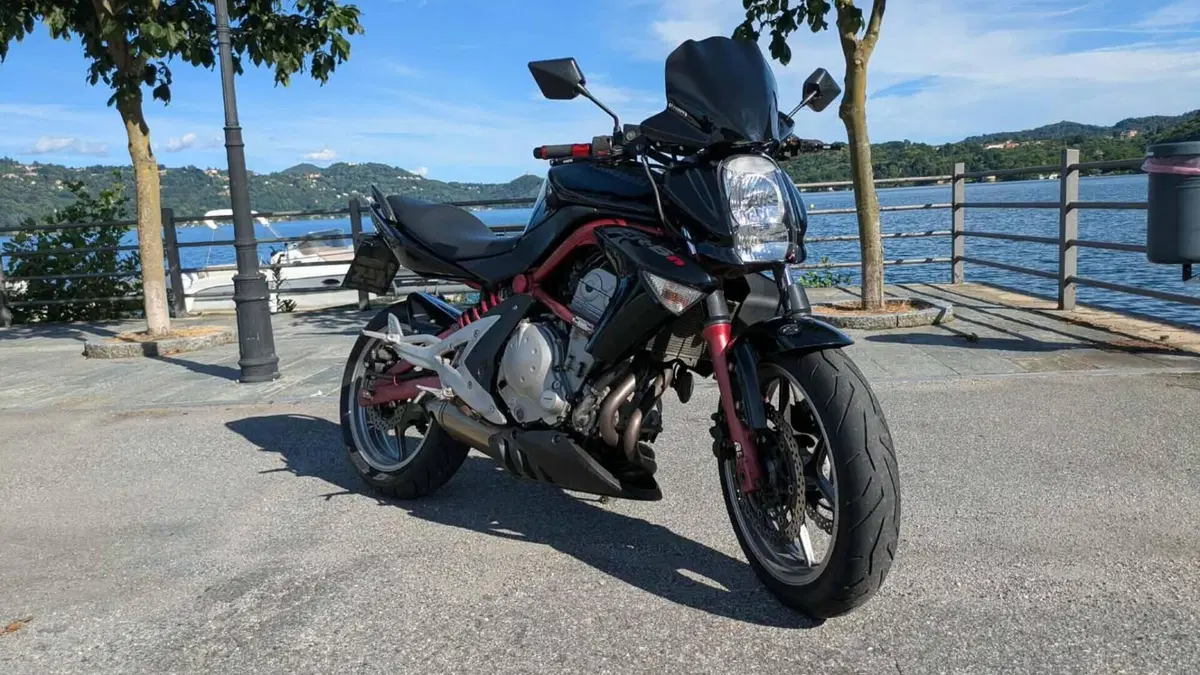 Kawasaki ER-6N (2005 - 08)  (12)