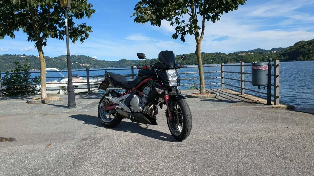 Kawasaki ER-6N (2005 - 08)  (19)