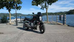 Kawasaki ER-6N (2005 - 08)  (19)