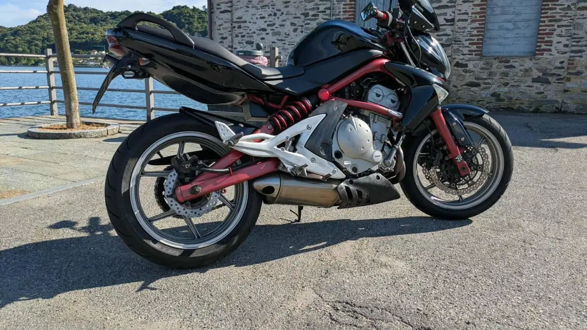 Kawasaki ER-6N (2005 - 08)  (9)