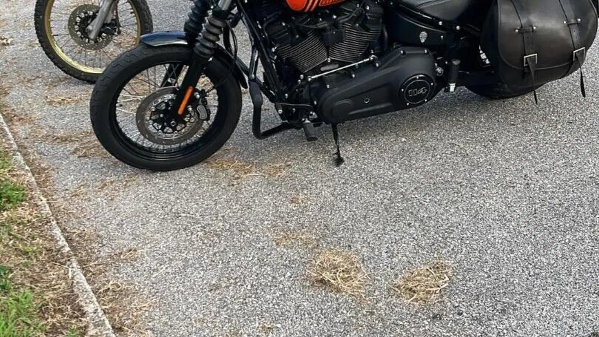 Harley-Davidson Street Bob 114 (2021 - 24)  (2)