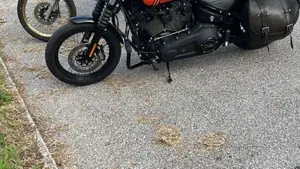 Harley-Davidson Street Bob 114 (2021 - 24)  (2)