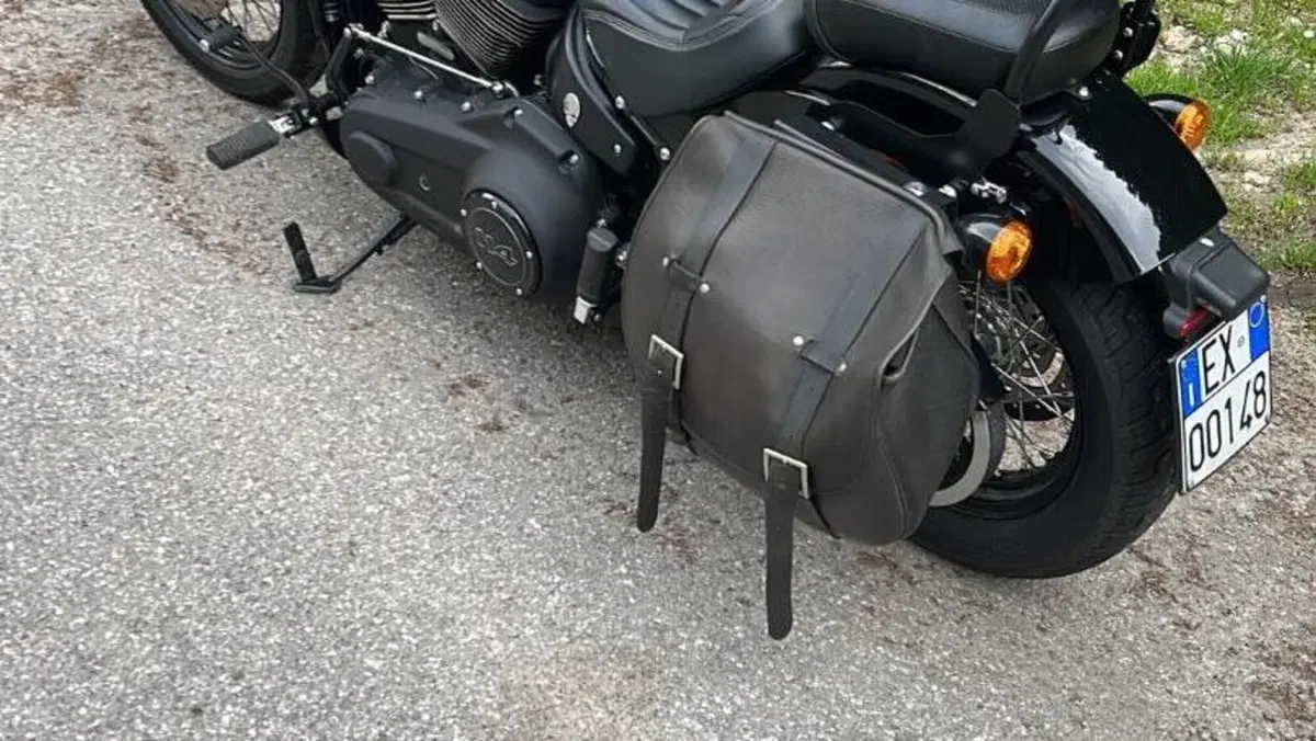 Harley-Davidson Street Bob 114 (2021 - 24)  (4)
