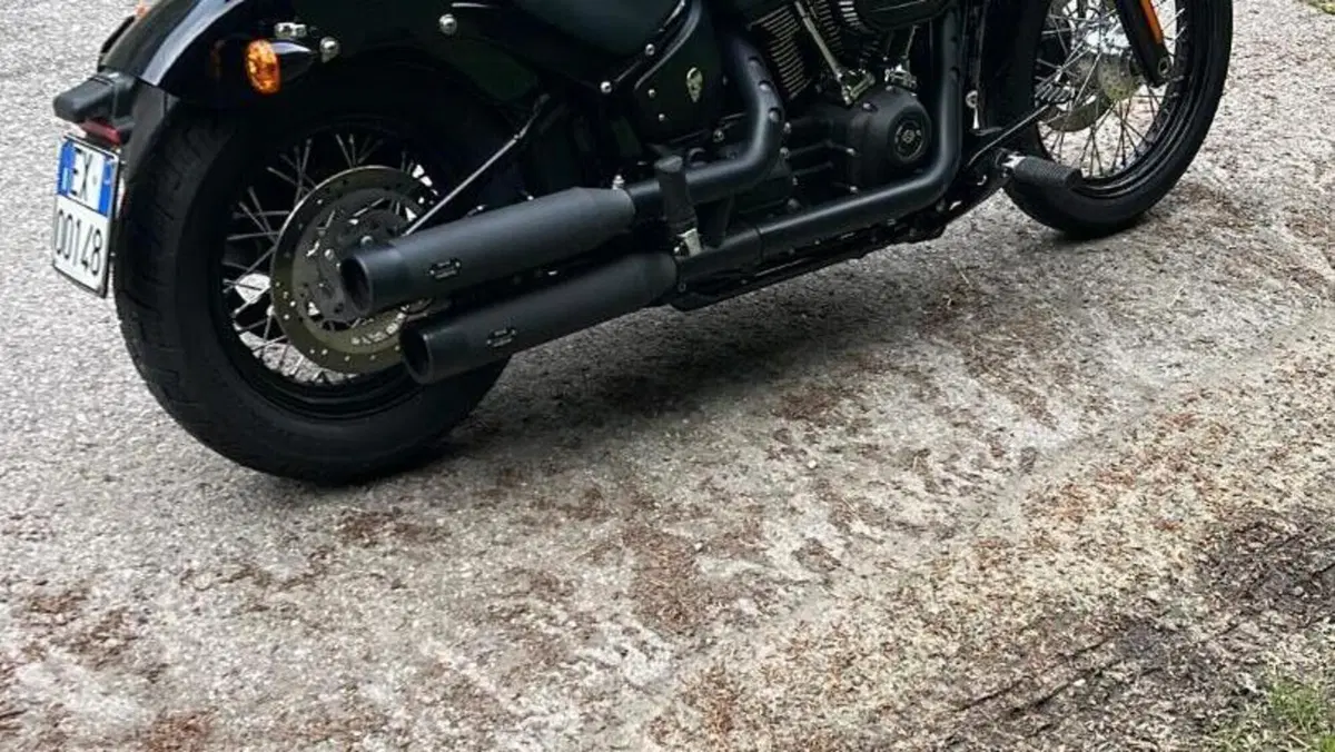 Harley-Davidson Street Bob 114 (2021 - 24)  (5)